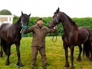 Ramzan Kadyrov presents two horses to Shavkat Mirziyoyev (video)