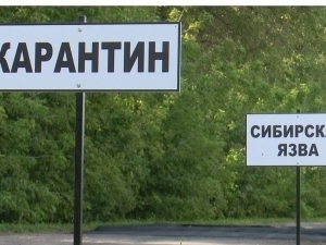 Tojikistonda hayvonlar orasida kuydirgi tarqaldi