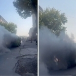Toshkentda yo‘lovchilarni olib ketayotgan avtobus yonib ketdimi? (video)