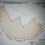 Yangihayot va Davlatobod tumanlari tashkil etildi