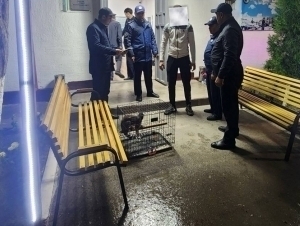 Kika Butovski video jinsiy aloqa Erotika deraza orqali onanizmga josuslik qildi