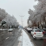 Ertaga ayrim hududlarda qor yog‘ishi mumkin