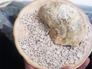 Businessman was caught selling contaminated bran in Jizzakh (video)