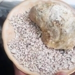 Jizzaxda kepakka tosh qo‘shib sotgan shaxs ushlandi (video)