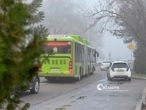 Январда қанча одам автобусга пул тўламагани айтилди