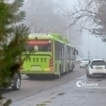 Yanvarda qancha odam avtobusga pul to‘lamagani aytildi