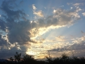 Ertaga ob-havo biroz bulutli va quruq bo‘ladi