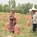 O‘zbekistonliklar asosan qaysi sohalarda ishlayapti?