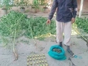 Энди андижонлик 69 ёшли отахоннинг уйидан наша топилди (видео)