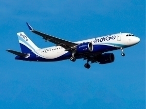 Xonada tasodifan xolam bilan jinsiy aloqa Uyda massaj pornosini tomosha qiling: Osiyo amerikalik ayollarni seduces