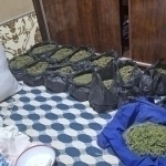 Chiroqchida fuqaroning uyidan 20 kg qoradori chiqdi