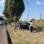Chirchiqda Lasetti daraxtga borib urildi. Haydovchi halok bo‘ldi