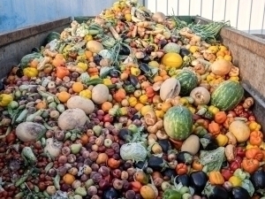 Мева ва сабзавотларнинг энг фойдали қисми чиқиндига ташланади – тадқиқот