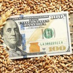 AQSH Ukrainaning qishloq xo‘jaligi uchun 250 million dollar ajratdi