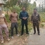 Samarqanddagi ko‘p yillik chinorlarga zarar yetkazildi