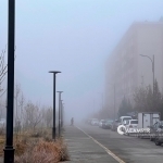 Ertaga tumanli va quruq ob-havo kuzatiladi