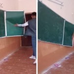 Bir urib doskani sindirgan “qahramon” topildi (video)