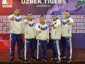 Boks federatsiyasining yangi rahbariyati “Uzbek Tigers” faoliyatiga qanday qarayapti?