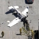 AQSHda samolyot simyog‘ochga urilib, qulab tushdi (video)