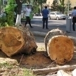 “This is an environmental crime”: Deputies oppose Murod Nazarov’s proposal