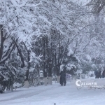 Mild January: Winter’s coldest month was warmer than expected