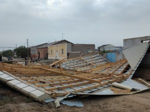 Trees and house roofs collapsed due to strong winds in Khorezm and Karakalpakstan (photos + video)