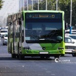 Пойтахтда яна 8 та автобус “план”дан озод қилинди