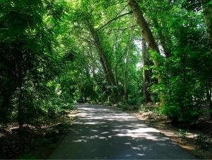 O‘zbekistonda yana 12 ta botanika va 16 ta dendrologiya bog‘i tashkil etiladi