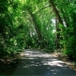 O‘zbekistonda yana 12 ta botanika va 16 ta dendrologiya bog‘i tashkil etiladi