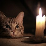 Олмазорда икки кундан бери “свет” йўқ