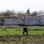 New presidential decree: Triple land tax on unused farmland