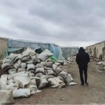 Navoiyda 13 mlrd so‘mlik oltinni qazib olganlar ushlandi (video)