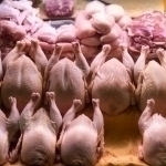 All restrictions on the export of poultry meat will be lifted