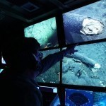 Музлик даврида туғилган тирик ҳайвон топилди