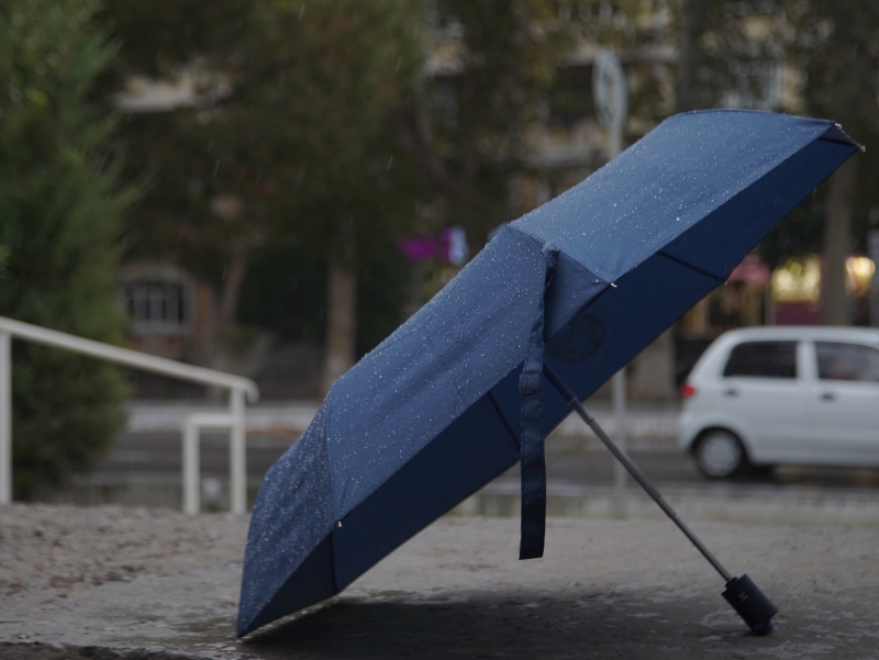 Эртага айрим ҳудудларда ёмғир ёғади