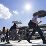 Японияда амалдорларга шорти кийиш тавсия этилди