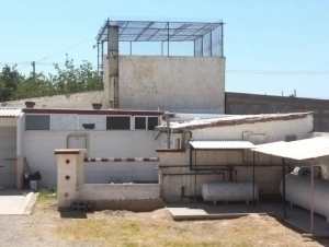 Jasadlar bilan qilingan firibgarlik fosh bo‘ldi