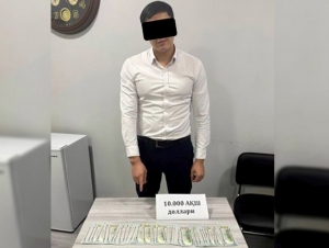 Toshkentda bank xodimi 10 ming dollar bilan ushlandi (video)