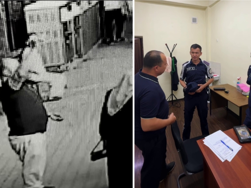 Toshkent hayvonot bog‘ida sher va jayralarga tosh otgan erkak jazolandi (video)