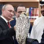 Putin shayxlarga “olmos” sovg‘a qildi