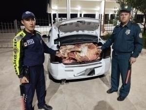 More than 1 ton of unfit meat was found in Surkhandarya