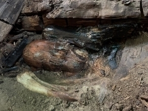 1800 йиллик зодагонлар қабри топилди