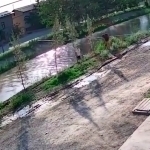 Namanganda kanalda cho‘kayotgan 3 yoshli bola qutqarib qolindi (video)