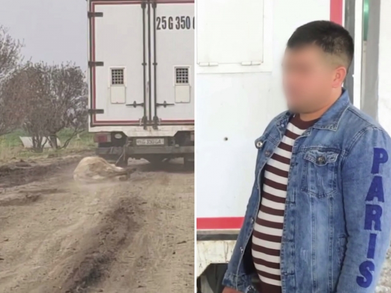 Жиззахда ҳайдовчи эшакни юк машинасига боғлаб, судраб юрди (видео)