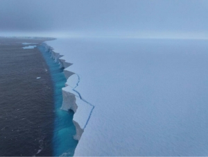 Dunyodagi eng yirik aysberg 67 foiz maydonini yo‘qotdi