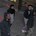 Universitetdagi otishmada 5 kishi yaralandi