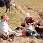 O‘zbekistonlik ayollar tinchlik va xavfsizlik indeksida kuchli yuztalikka kirdi 