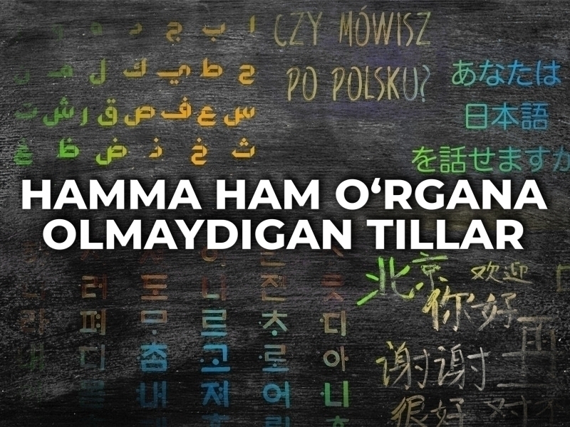 Mandarin, arab, koreys, yapon – o‘rganish uchun eng qiyin tillar