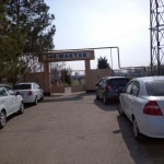 Тошкентдаги мактаблардан бирида ўқувчини илон тишлаб олди