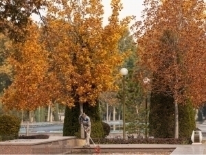 Эртага ҳарорат бироз пасайиши кузатилади